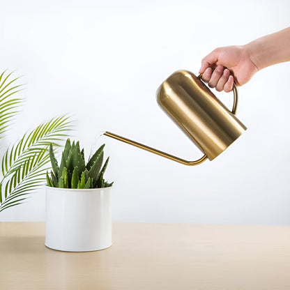 Vattenkanna – Metall med Lång Pip för Inomhus och Utomhusbruk 3